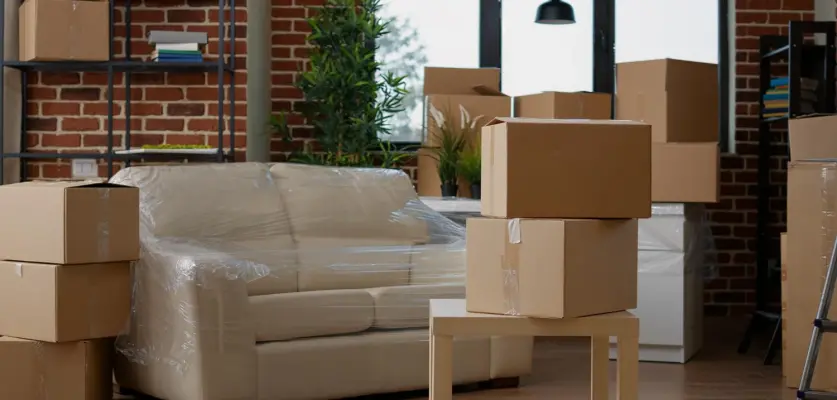 Profesyonel Eşya Paketleme & Taşıma